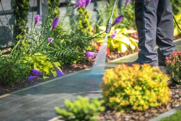 Best Restaurant Pressure Washing  in Newark, DE